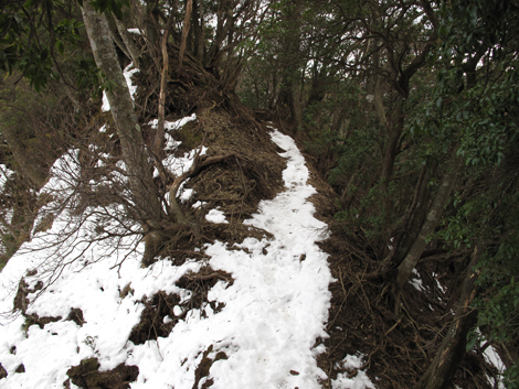 20170113hike (232)